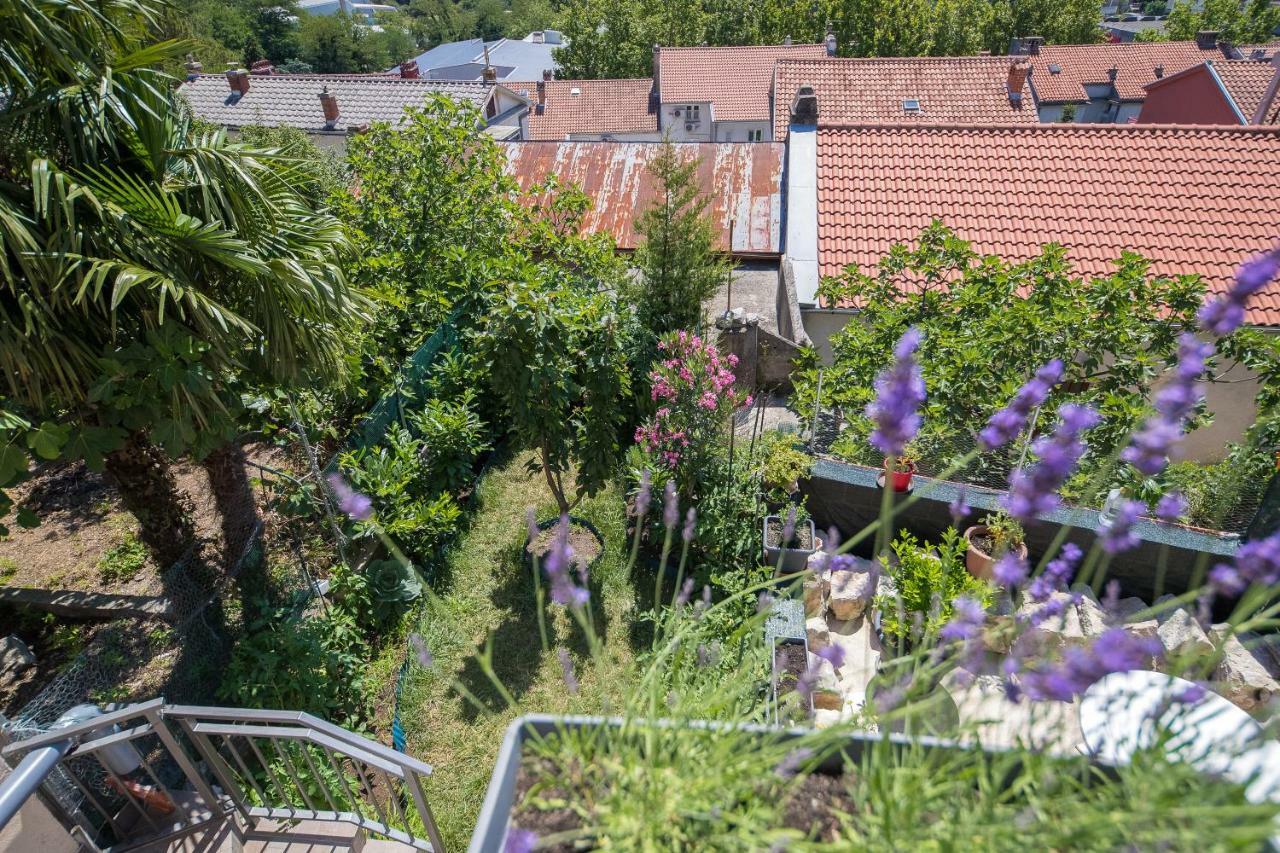Apartment Zorica Crikvenica Zewnętrze zdjęcie